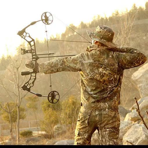 Peralatan busur komposit recur - Outdoor Sport Drawing ulasan dan harga